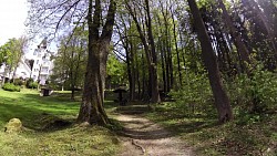Obrázek z trasy Mariánské Lázně - Královská vycházková trasa