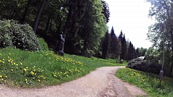 Obrázek z trasy Mariánské Lázně - Goethova trasa