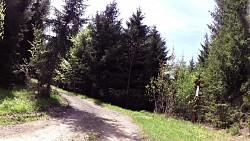 Obrázek z trasy Mariánské Lázně - Metternichova trasa