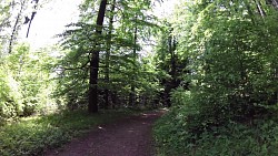 Picture from track Mariánské Lázně - Metternich route