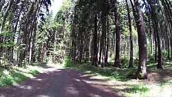 Obrázek z trasy Mariánské Lázně - Metternichova trasa