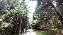 Obrázek z trasy Janovy boudy – Chata Růžohorky – Růžová hora