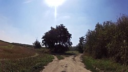 Obrázek z trasy Kolem sklepů a vinohradů Mikulovskem