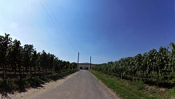 Obrázok z trasy Okolím Mikulova okolo pivníc a vinohradov