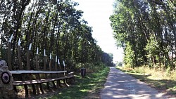 Obrázok z trasy Okolím Mikulova okolo pivníc a vinohradov