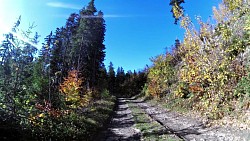 Obrázek z trasy Medvědí stezky, Beskydy - žlutý okruh