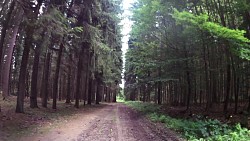 Picture from track From Nova Bystřice through Austria and extinct villages