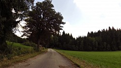 Picture from track From Nova Bystřice through Austria and extinct villages