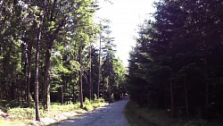 Obrázek z trasy Českou Kanadou z Nové Bystřice na hrad Landštejn