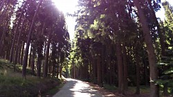 Bilder aus der Strecke Česká Kanada-aus Nová Bystřice zur Burg Landštejn