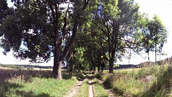 Bilder aus der Strecke Česká Kanada-aus Nová Bystřice zur Burg Landštejn