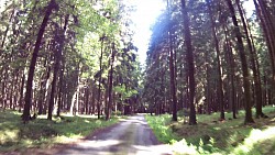 Bilder aus der Strecke Česká Kanada-aus Nová Bystřice zur Burg Landštejn