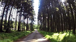 Bilder aus der Strecke Česká Kanada-aus Nová Bystřice zur Burg Landštejn