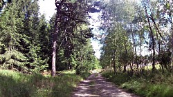 Obrázek z trasy Českou Kanadou z Nové Bystřice na hrad Landštejn