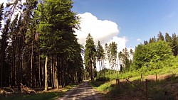 Bilder aus der Strecke Česká Kanada-aus Nová Bystřice zur Burg Landštejn