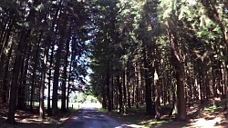 Picture from track Through Czech Canada from Nova Bystřice to the castle Landštejn