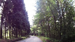 Bilder aus der Strecke Česká Kanada-aus Nová Bystřice zur Burg Landštejn