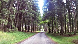 Bilder aus der Strecke Česká Kanada-aus Nová Bystřice zur Burg Landštejn