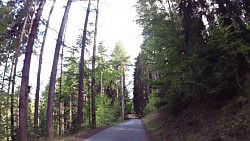 Bilder aus der Strecke Česká Kanada-aus Nová Bystřice zur Burg Landštejn