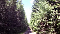 Picture from track From Nová Bystřice to the northernmost point of Austria