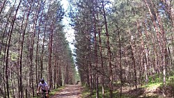 Obrázek z trasy Z Nové Bystřice k nejsevernějšímu bodu Rakouska