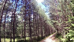 Picture from track From Nová Bystřice to the northernmost point of Austria