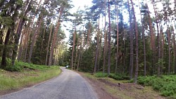 Picture from track From Nová Bystřice to the northernmost point of Austria