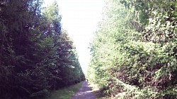 Picture from track From Nová Bystřice to the northernmost point of Austria
