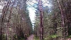 Picture from track From Nová Bystřice to the northernmost point of Austria