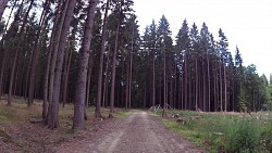 Obrázek z trasy Slavonice - na kole za historií ze Slavonic do Slavonic.