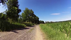 Obrázek z trasy České Budějovice - Hluboká nad Vltavou - cyklostezka po pravém břehu Vltavy