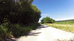 Obrázek z trasy České Budějovice - Hluboká nad Vltavou - cyklostezka po pravém břehu Vltavy