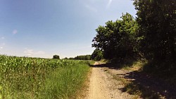 Obrázek z trasy Po pravém břehu Vltavy z Hluboké nad Vltavou do Českých Budějovic