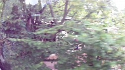 Obrázek z trasy EUROPA PARK - Německo, zábavný park