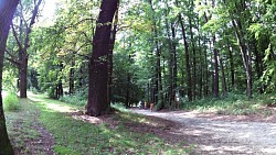Obrázek z trasy Procházka zámeckým parkem v Hluboké nad Vltavou