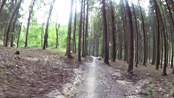 Obrázek z trasy Singltrek v cykloparku Podhůra