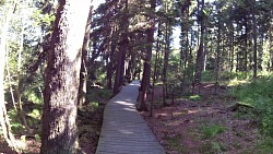 Picture from track Nature/educational trail around Zelena Hora - circuit B
