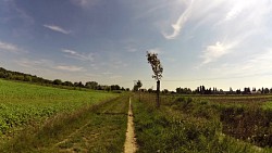 Obrázek z trasy Cyklovýlet ze Židlochovic přes Vojkovice, Rajhrad a Opatovice zpět do Židlochovic