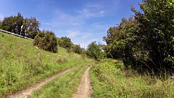 Obrázek z trasy Cyklovýlet ze Židlochovic přes Vojkovice, Rajhrad a Opatovice zpět do Židlochovic