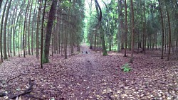 Obrázek z trasy Telč - naučná stezka Lipky