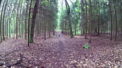 Obrázek z trasy Telč - naučná stezka Lipky