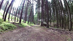 Obrázek z trasy Slavonická cesta pohádkovým lesem