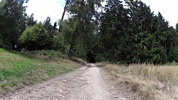 Obrázek z trasy Slavonická cesta pohádkovým lesem