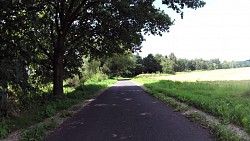 Picture from track Around the Pisek region, country of lakes, to the one-eyed warrior