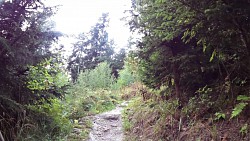 Obrázek z trasy Sušická pavučina - Hadí stezka na Svatobor