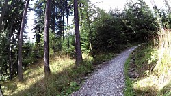 Obrázek z trasy Sušická pavučina - Hadí stezka na Svatobor