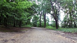 Obrázek z trasy Nordic walking po zámeckém parku v Hluboké nad Vltavou