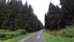 Obrázek z trasy Z hotelu Jenišov podél Lipna na Novou Pec a zpět