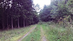 Picture from track By bike or on foot, Týn nad Vltavou is always nice!