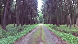 Imagen de ruta En bicicleta o a pie Týn nad Vltavou es igual de agradable!